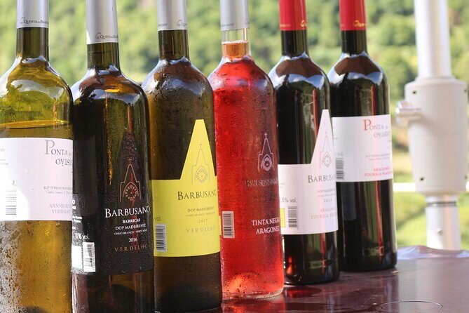 Madeira Island Private Wine Full-day Tour in all terrain vehicle - Pickup and the 9:00am Start That Keeps the Day Moving