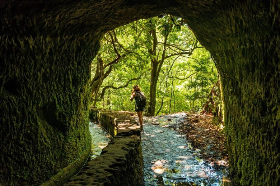 Madeira: Jungle Fever Levada Caldeirao Verde Hike Santana - Key highlights you’ll feel the moment you start