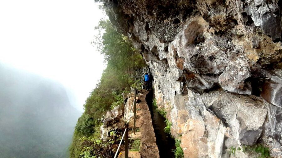 Madeira: Jungle Fever Levada Caldeirao Verde Hike Santana - Caldeirão Verde levada hike: historic trail, tunnels, and the Green Kettle