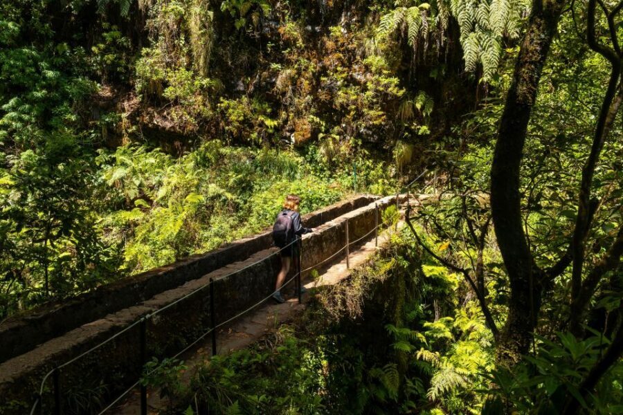 Madeira: Jungle Fever Levada Caldeirao Verde Hike Santana - Picnic at Caldeirão Verde: the view break you actually need