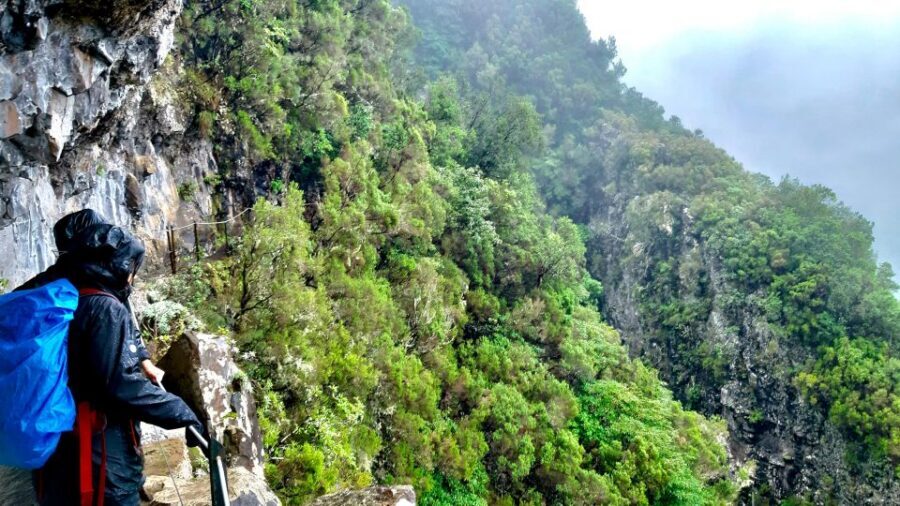 Madeira: Jungle Fever Levada Caldeirao Verde Hike Santana - Who this tour fits best (and who should skip it)