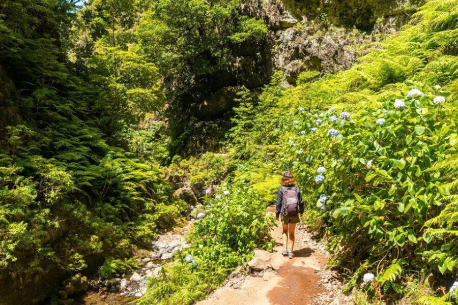 Madeira: Jungle Fever Levada Caldeirao Verde Hike Santana - Electric car transfers: how the day gets you into the trail zone