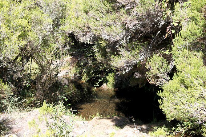 Madeira Lakes - Levada do Alecrim - Key Points Worth Knowing