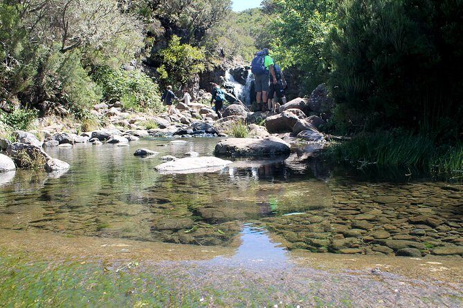 Madeira Lakes - Levada do Alecrim - Meeting in Funchal at 8:30: Timing and Logistics That Matter