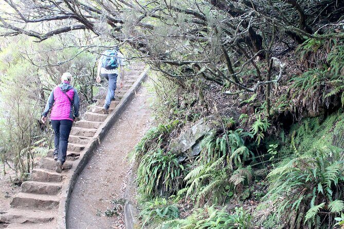 Madeira Lakes - Levada do Alecrim - Price and Value: Is It Worth $52.09?