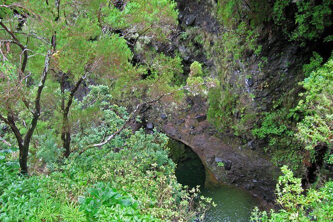 Madeira Levada Walk - Rabacal Lakes and Fountains - Laurisilva forest levadas: a walk that teaches without turning into a lecture
