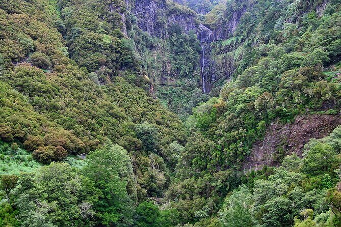 Madeira Levada Walk - Rabacal Lakes and Fountains - Stop 1: through the laurel woodland to Rabacal’s fountain zone