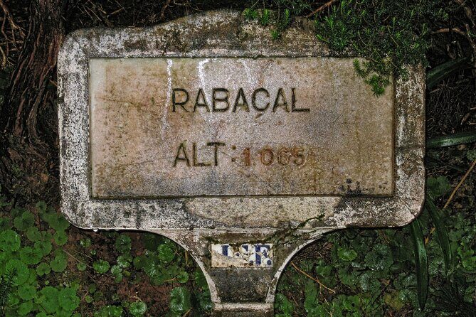 Madeira Levada Walk - Rabacal Lakes and Fountains - The Rabacal fountain time: crowd reality and your best strategy