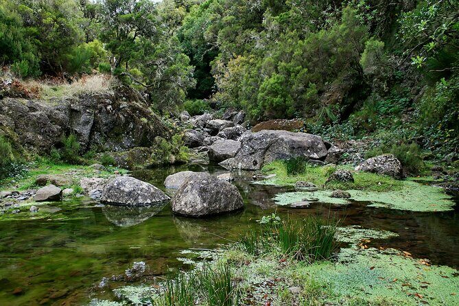 Madeira Levada Walk - Rabacal Lakes and Fountains - The tunnel moment: torches, wet mud, and why it feels like a movie scene