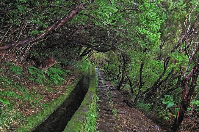 Madeira Levada Walk - Rabacal Lakes and Fountains - Pace, stairs, and fitness: the moderate label still includes real climbing