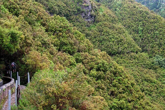 Madeira Levada Walk - Rabacal Lakes and Fountains - The Funchal morning: pickup timing, meeting spot, and how not to waste daylight