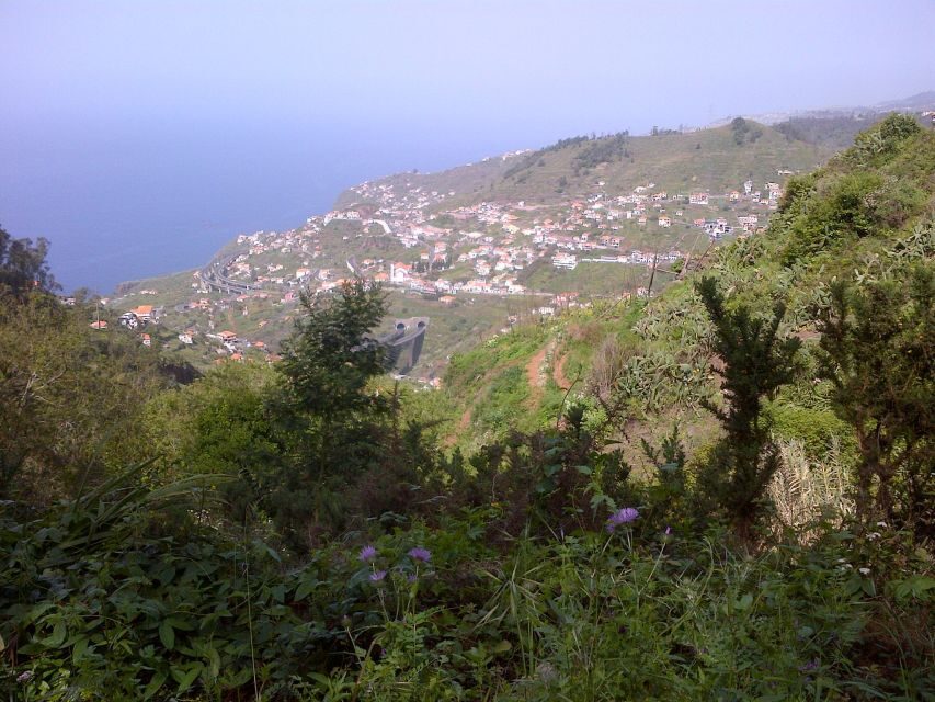 Madeira: Levado do Norte 2-Hour Hiking Tour - A 2-Hour Hike That Still Feels Like an Experience
