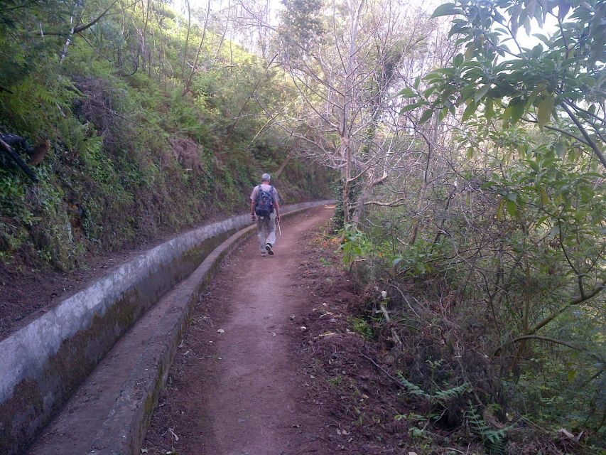 Madeira: Levado do Norte 2-Hour Hiking Tour - Getting There: Hotel Pickup and What It Means for Your Timing