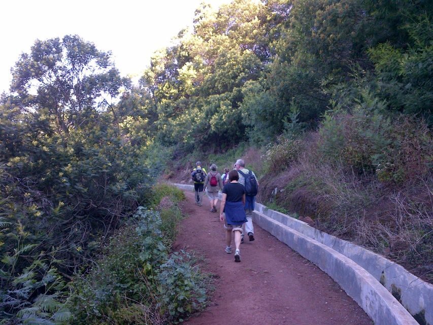 Madeira: Maroços Landscapes 2.5-Hour Guided Walk - Key things that make this walk worth your shoes