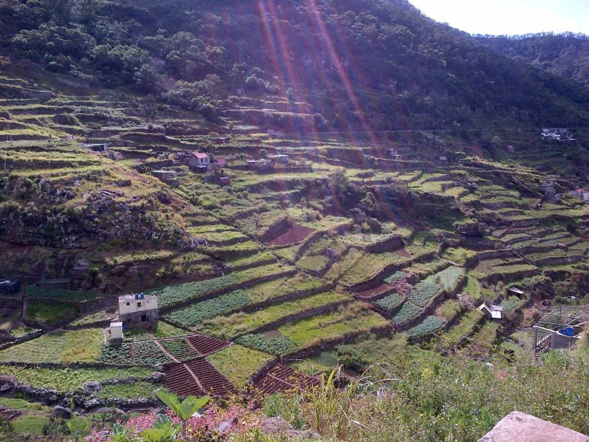 Madeira: Maroços Landscapes 2.5-Hour Guided Walk - Entering the village of Maroços: terraces, homes, and a worked-in view
