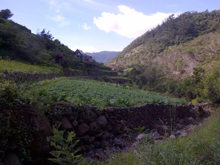 Madeira: Maroços Landscapes 2.5-Hour Guided Walk - Transportation and the guide: what’s included, and why it changes the experience