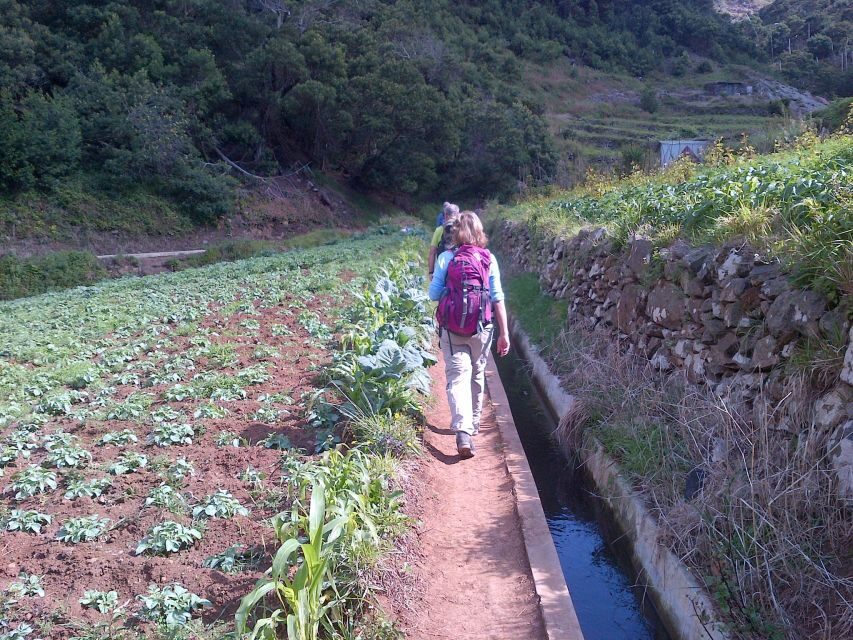 Madeira: Maroços Landscapes 2.5-Hour Guided Walk - The 2.5 Hours and 9 km: Easy on paper, smart in practice