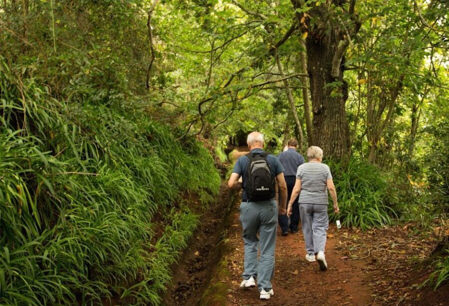 Madeira: Mini-Combo East Challenge: Jeep Safari + Levada - Guides and Group Feel: Why People Keep Mentioning Jazz and Victor