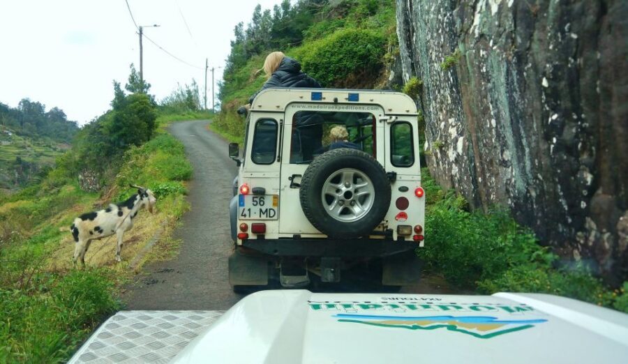 Madeira: Mini-Combo East Challenge: Jeep Safari + Levada - Why This Madeira Jeep + Levada Combo Fits a Short Day