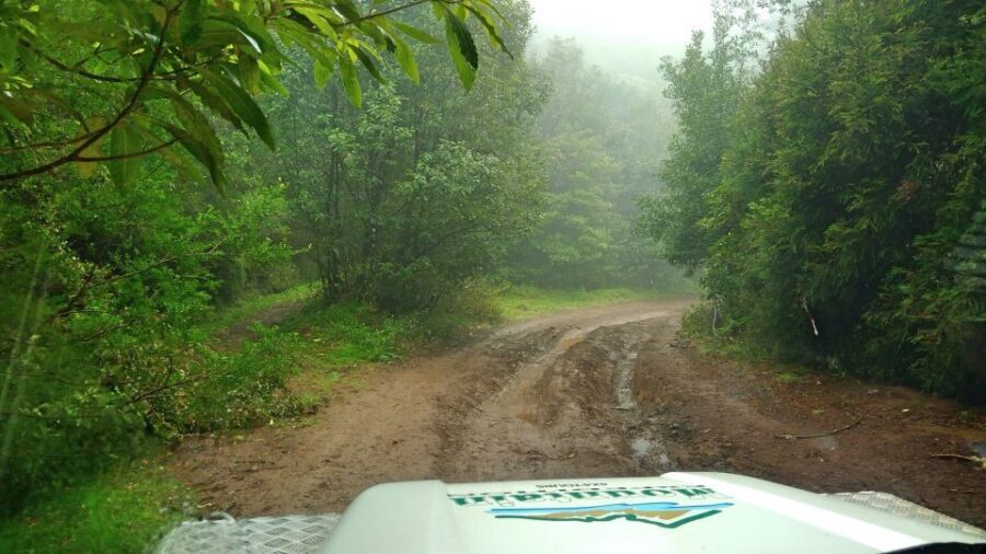 Madeira: Mini-Combo East Challenge: Jeep Safari + Levada - Camacha: The Wicker Town Stop You’ll Actually Notice