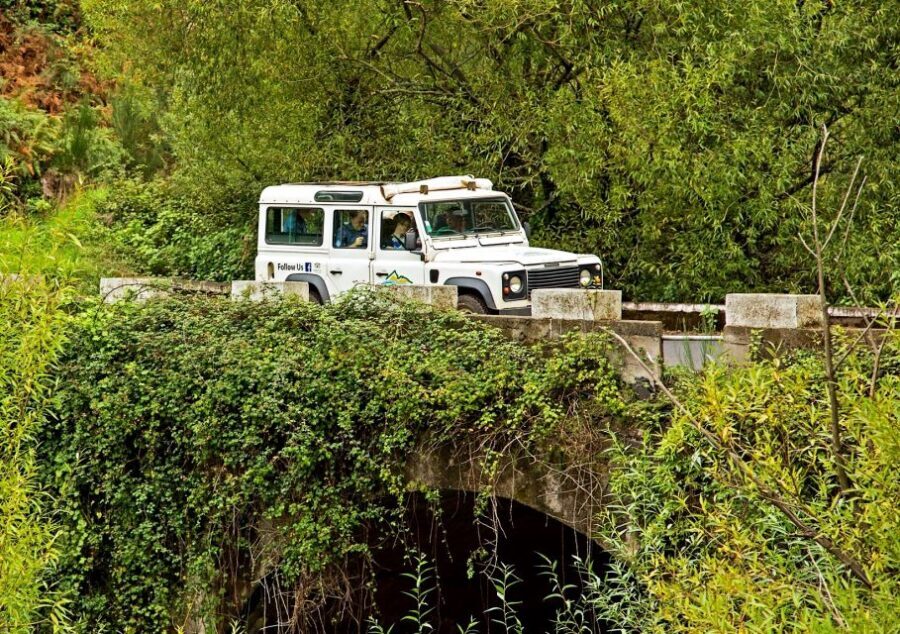 Madeira: Mini-Combo East Challenge: Jeep Safari + Levada - Morena and Santo da Serra: Quiet Variety Between Big Views