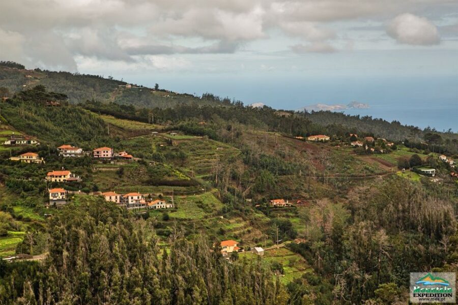Madeira: Mini-Combo East Challenge: Jeep Safari + Levada - Your Easy 30-Minute Levada Walk: Short Effort, Big Madeira Feel