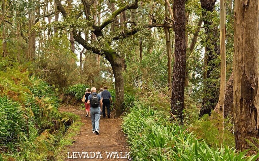 Madeira: Mini-Combo East Challenge: Jeep Safari + Levada - What to Bring (So You’re Comfortable, Not Caught Off Guard)