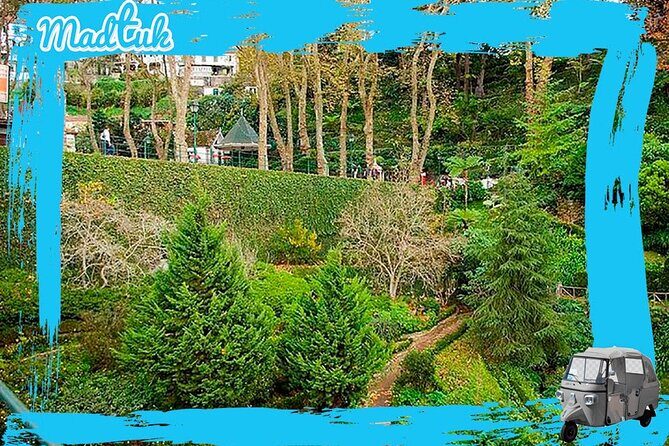 Madeira Monte Tobbogans and Old Town Tuk Tuk Tour by MadTuk - MadTuk service style: private rides, guides with local pride, and photo stops