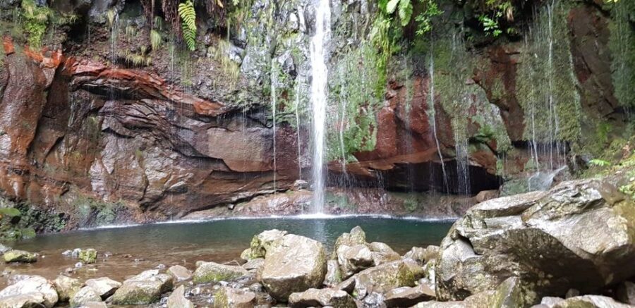Madeira: Mountain Walk with Lagoon and Waterfalls - Why Levada das 25 Fontes is worth an 8-hour day