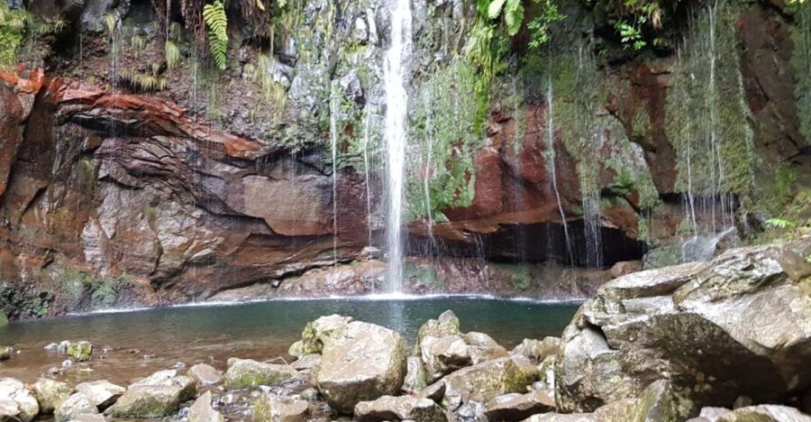 Madeira: Mountain Walk with Lagoon and Waterfalls - Walking the levada path: what the hike actually feels like