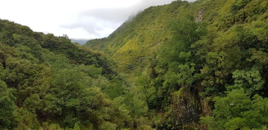 Madeira: Mountain Walk with Lagoon and Waterfalls - Risco waterfall and the mountain-view rhythm