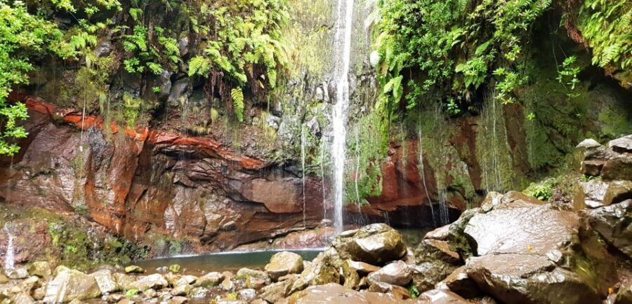 Madeira: Mountain Walk with Lagoon and Waterfalls - Group size and timing: how to protect your experience