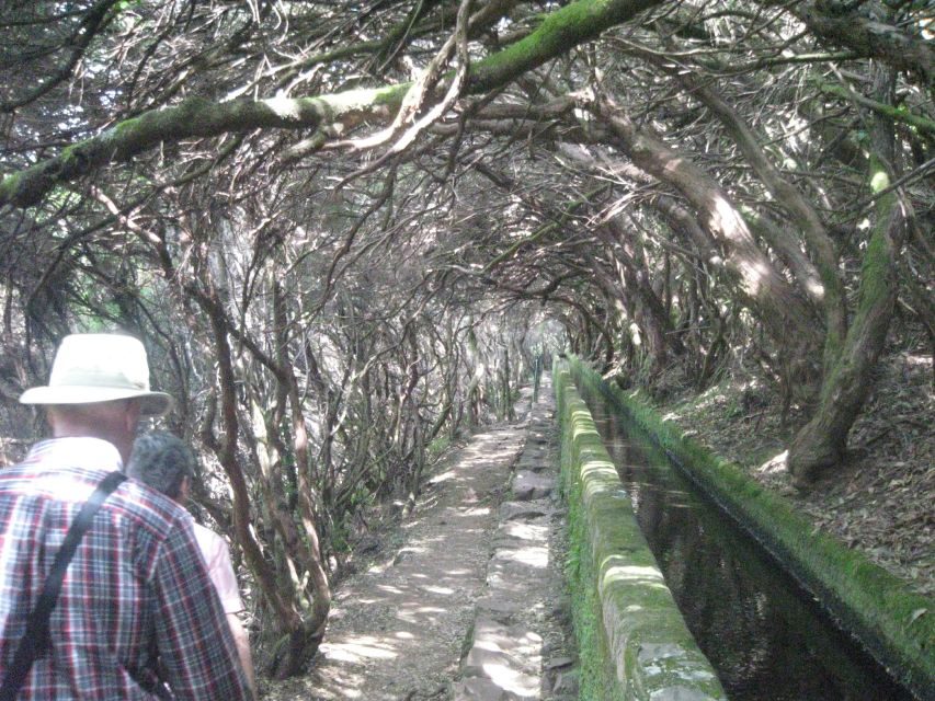 Madeira: Mountain Walk with Lagoon and Waterfalls - What to bring for a safe, comfortable waterfall day