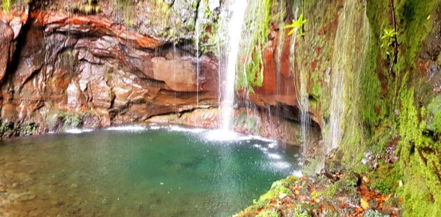 Madeira: Mountain Walk with Lagoon and Waterfalls - Your day in Madeira: from pickup to Paúl da Serra views