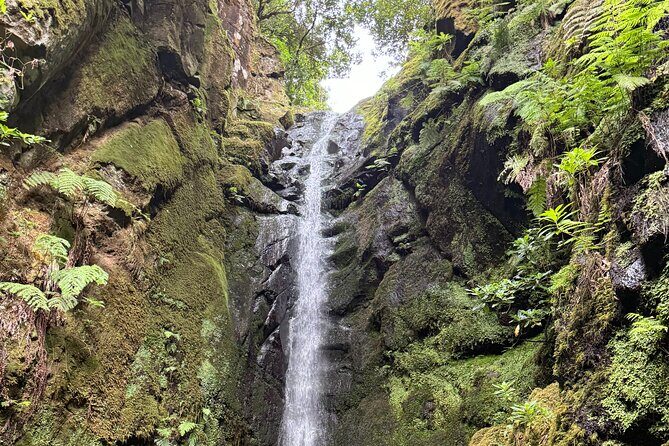 Madeira Off-Road 4x4 Jeep Adventure Private Full day Tour - The 4x4 factor: remote Madeira you can’t reach the normal way