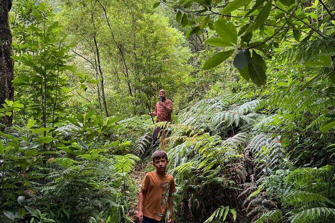 Madeira Off-Road 4x4 Jeep Adventure Private Full day Tour - Pickup in Funchal and how long the day really runs