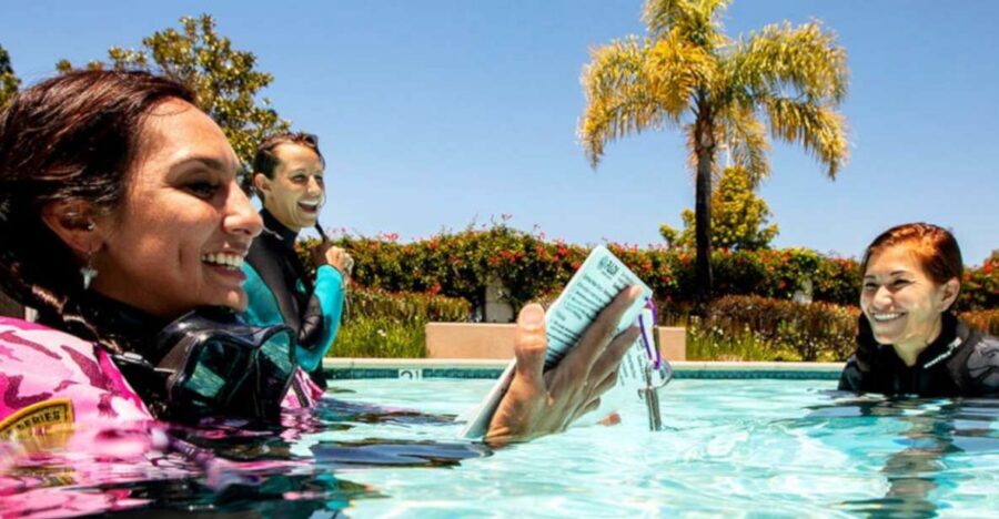 Madeira: Open Water Diver First Certification Course - Madeira’s easy path to your Open Water diver certification