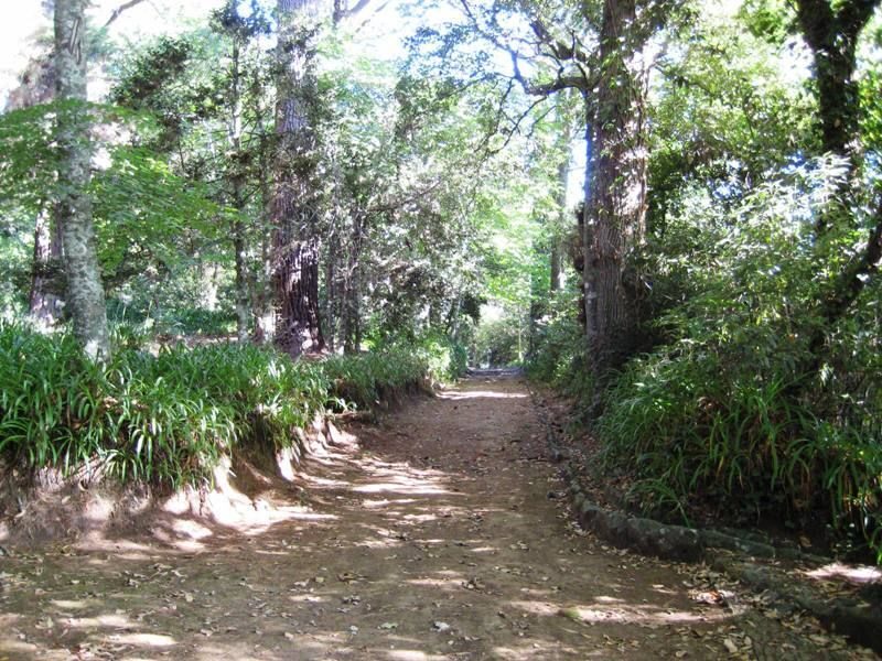 Madeira: Paradise Valley Levada Walk - Price and value: is $38 a smart use of your time?