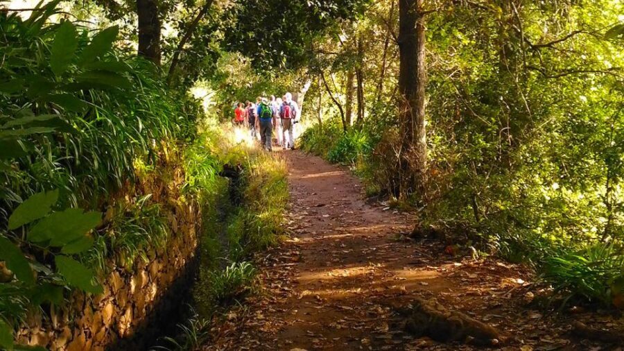 Madeira: Paradise Valley Levada Walk - Paradise Valley Levada walk: what makes it worth your time