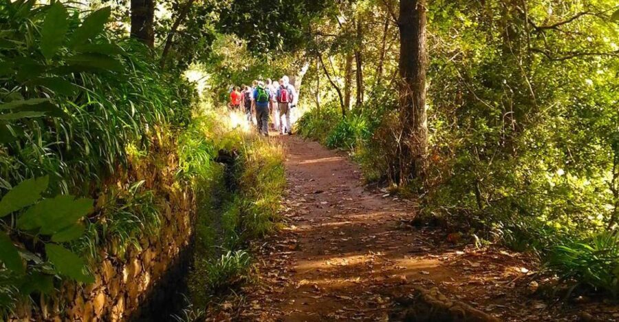 Madeira: Paradise Valley Levada Walk - The core hike: from Vale do Paraíso toward Rochão