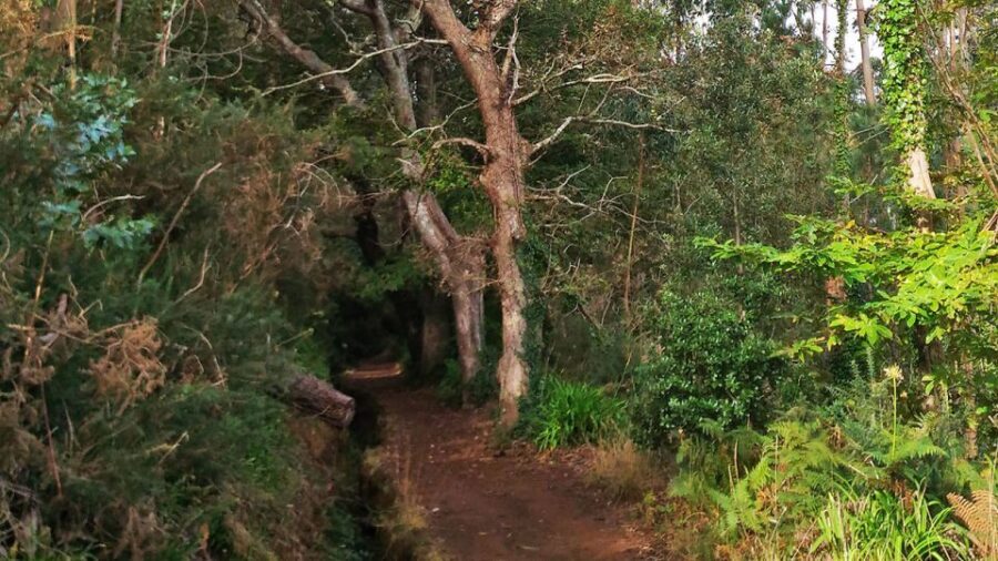 Madeira: Paradise Valley Levada Walk - Gardens and cultivated terraces: Madeira as a working island