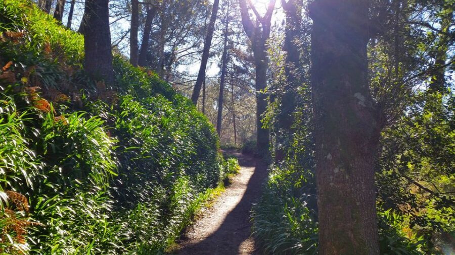 Madeira: Paradise Valley Levada Walk - Panoramic view of Camacha: the moment the valley opens up