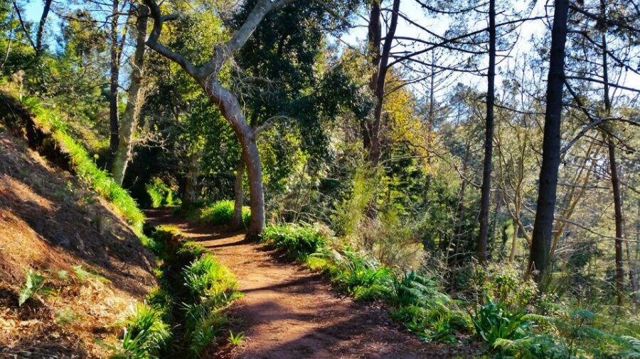 Madeira: Paradise Valley Levada Walk - Where a cafe stop can fit (and what to do about lunch)