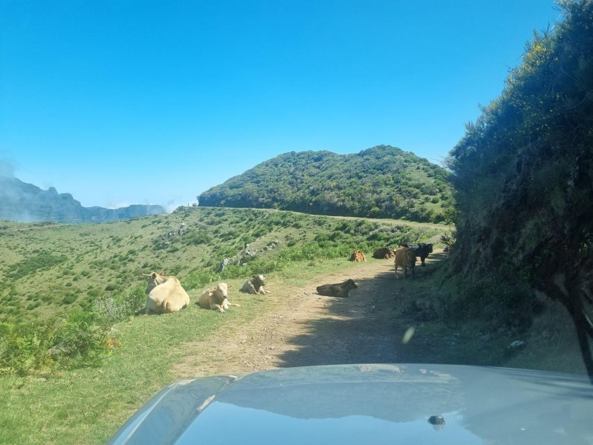 Madeira: Picturesque Peaks and Skywalk private 4x4 Jeep tour - Key highlights to look forward to