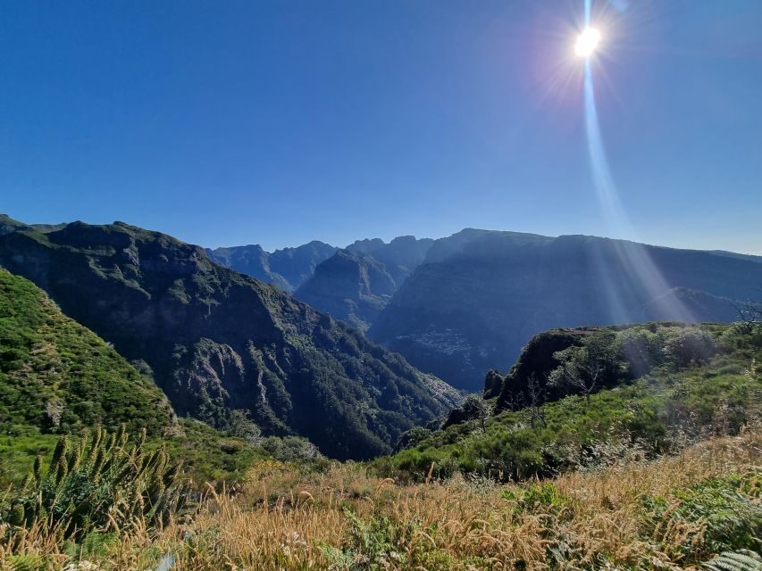 Madeira: Picturesque Peaks and Skywalk private 4x4 Jeep tour - Jardim da Serra off-road break: eucalyptus, poncha, and Madeira flavors