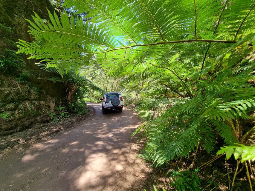 Madeira: Picturesque Peaks and Skywalk private 4x4 Jeep tour - Value and price: what you’re really paying for at about $247 per group
