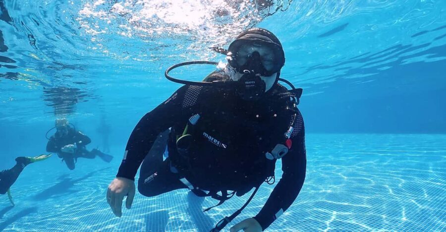 Madeira, Ponta São Lourenço: Scuba Diving for Beginners - Key Things I’d Book This For