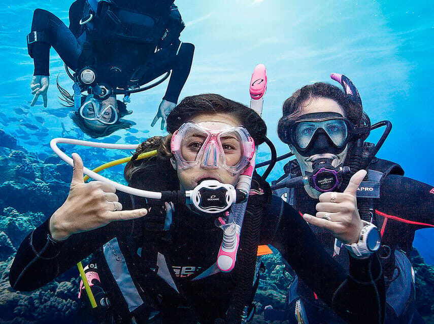 Madeira, Ponta São Lourenço: Scuba Diving for Beginners - Practical Expectations: How It Feels During the First Ocean Minutes