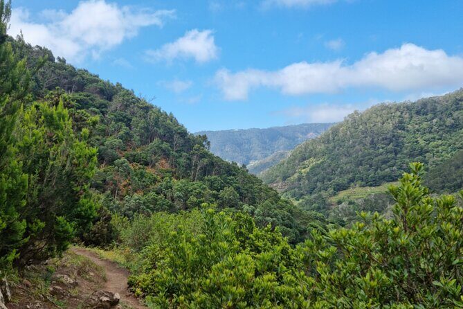 Madeira Porto da Cruz to Machico Self Hiking Tour with Transfer - Ending above Machico: why the finish location is part of the payoff