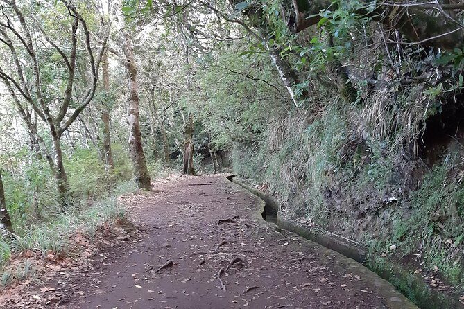Madeira: Private 1.5-Kilometer Levada dos Balcões Hike PR11 - Why PR11 Balcões feels short, but still delivers